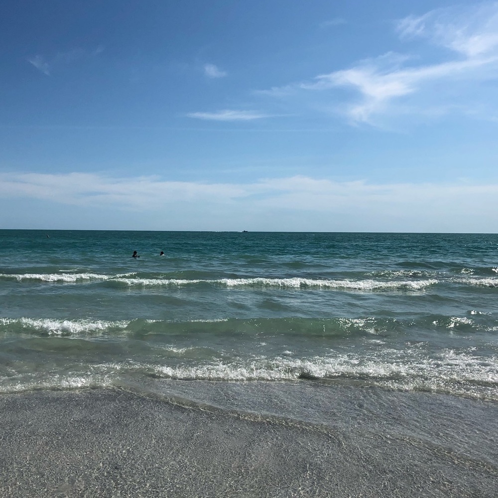 Meet your Posher, Cynthia